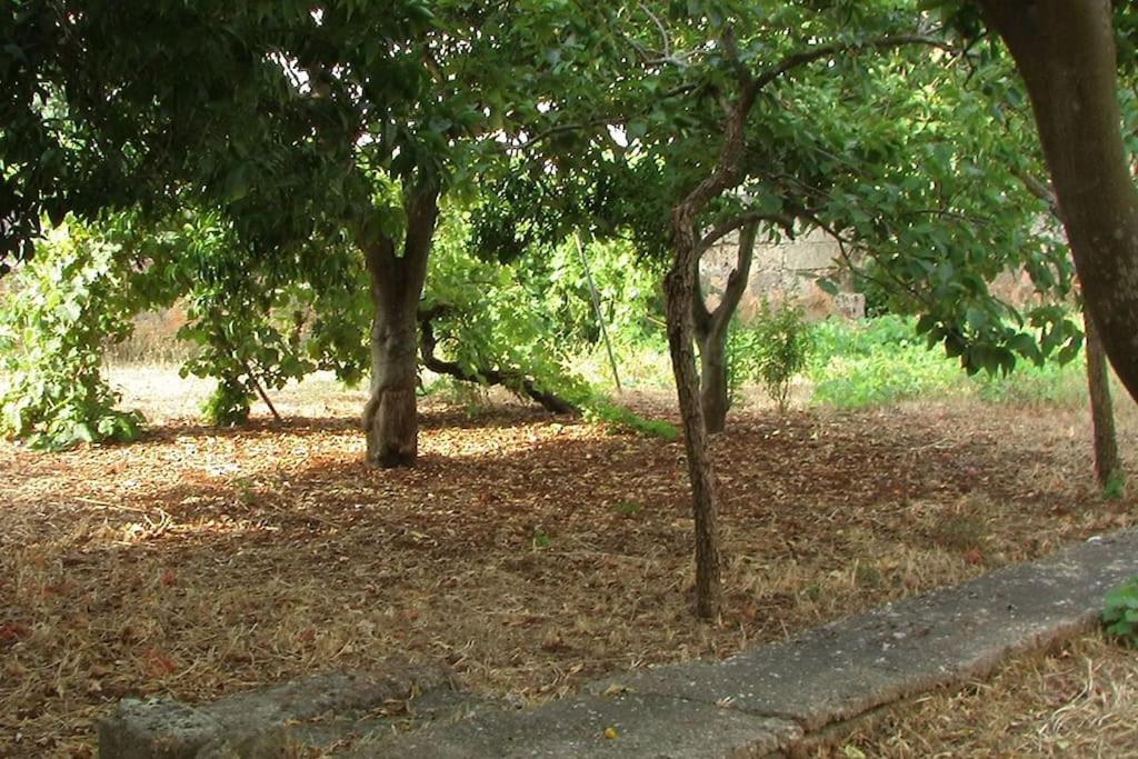 Villa Nel Salento - Ampie Camere E Giardino, Fino A 9 Persone Barbarano del Capo Dış mekan fotoğraf