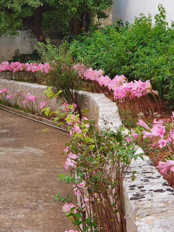 Villa Nel Salento - Ampie Camere E Giardino, Fino A 9 Persone Barbarano del Capo Dış mekan fotoğraf
