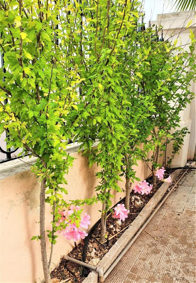 Villa Nel Salento - Ampie Camere E Giardino, Fino A 9 Persone Barbarano del Capo Dış mekan fotoğraf